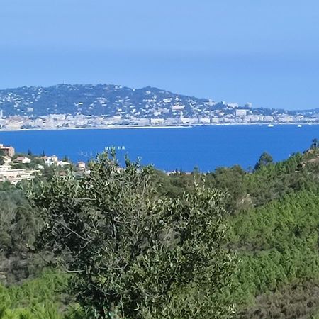 Le Jasmin Mandelieu-la-Napoule Exterior foto