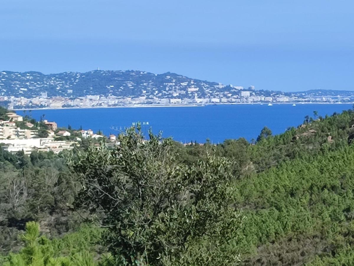 Le Jasmin Mandelieu-la-Napoule Exterior foto
